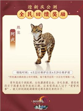 麻将天龙八部私服